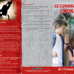 Secondhand Smoke 3 panel-front