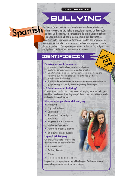 *SPANISH* Just the Facts Rack Card: Bullying