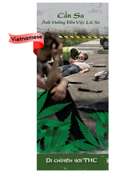 *VIETNAMESE* Marijuana Effects on Driving Pamphlet